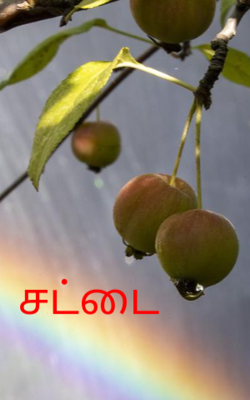 சட்டை