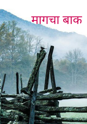 मागचा बाक