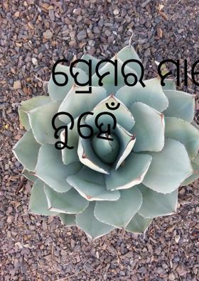 ପ୍ରେମର ମାନେ ମିଳନ ନୁହେଁ