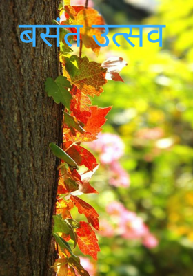 बसंत उत्सव