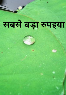 सबसे बड़ा रुपइया