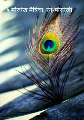 मोरपंख मैत्रीचा (रंग-मोरपंखी)