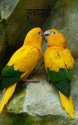 तुमच्यासाठी