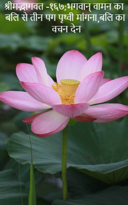 श्रीमद्भागवत -१६७;भगवान् वामन का बलि से तीन पग पृथ्वी मांगना,बलि का वचन देन