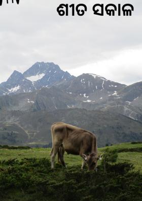 ଶୀତ ସକାଳ