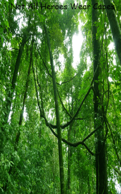 Not All Heroes Wear Capes