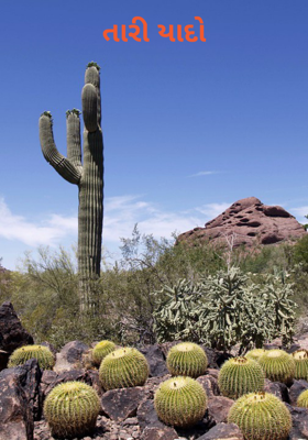 તારી યાદો