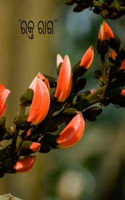 ରକ୍ତ ରାଗ