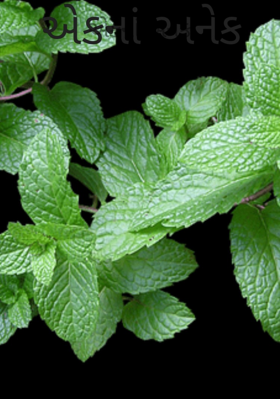 એકનાં અનેક