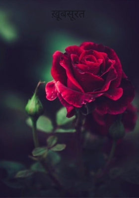 ख़ूबसूरत