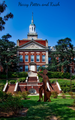 Harry Potter And Krish Lost In Wonderland