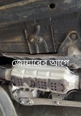 জোয়ারের আগে