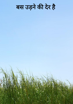 बस उड़ने की देर है