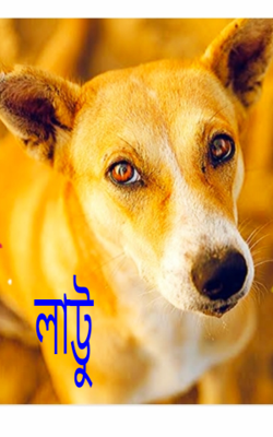 লাট্টু ; কলমে - সন্দীপ ঘোষ