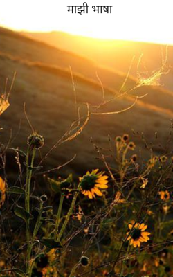 माझी भाषा