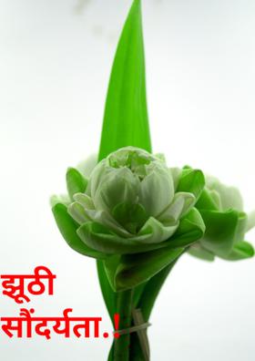 झूठी सौंदर्यता......!