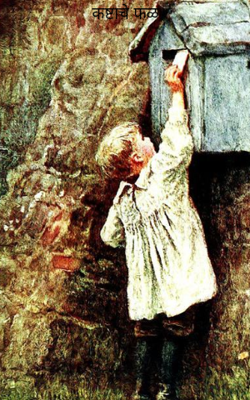 कष्टाचे फळ