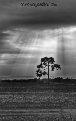 സൗഹൃദജീവിതം