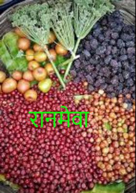 रानमेवा