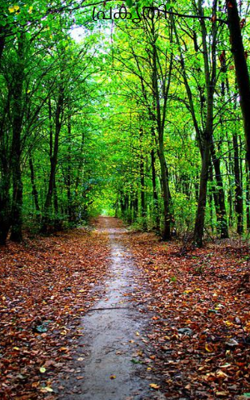 പ്രകൃതി