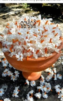 ଗଙ୍ଗଶିଉଳି