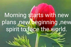 Morning starts with new plans ,new beginning ,new spirit to face the world.