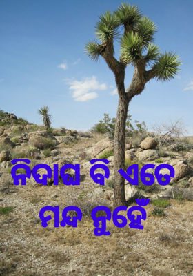 ନିଦାଘ ବି ଏତେ ମନ୍ଦ ନୁହେଁ