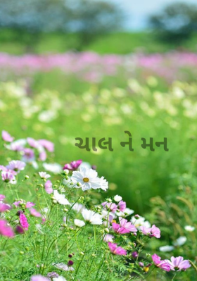ચાલને મન