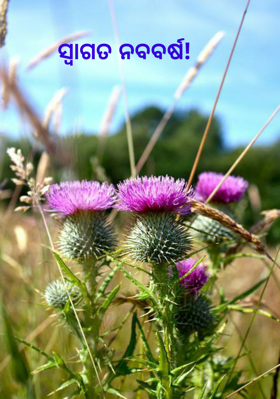 ସ୍ବାଗତ ନବବର୍ଷ