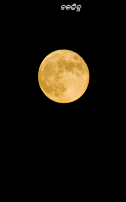 ଚଳଚ୍ଚିତ୍ର