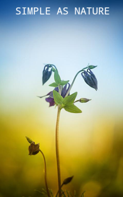 Simple As Nature