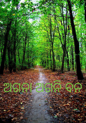 ଅଗନା ଅଗନି ବନ
