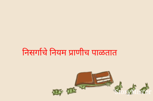 निसर्गाचे नियम प्राणीच पाळतात