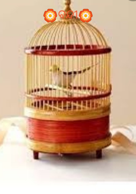 🏵️ବନ୍ଦୀ🏵️