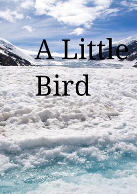 A Little Bird