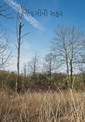 જિંદગીની સફર