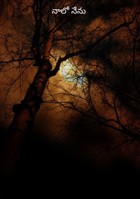 నాలో నేను