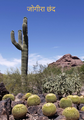 जोगीरा छंद 