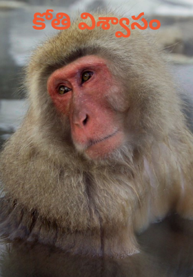 కోతి విశ్వాసం