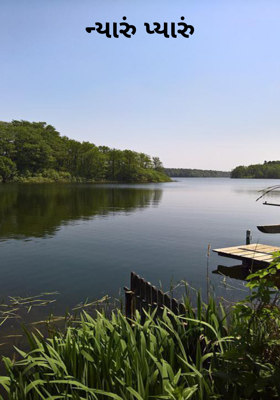 ન્યારું પ્યારું