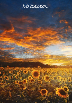 నీలి మేఘమా...