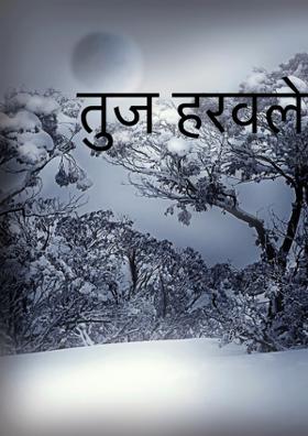 तुज हरवले का?