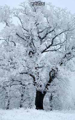 उपेक्षित