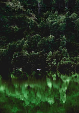 ಸಾಗಿದೆ ಜೀವನ ಎಲ್ಲೂ ನಿಲ್ಲದೆ