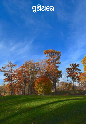 ପୁଣିଥରେ