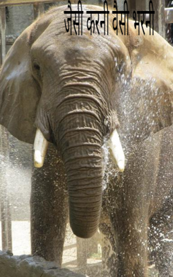 जैसी करनी वैसी भरनी