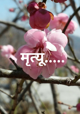 मृत्यू.....