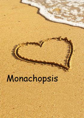 Monachopsis