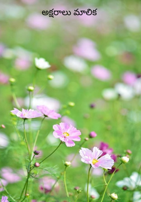 అక్షరాలు మాలిక