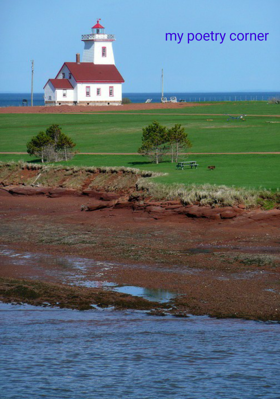 My Poetry Corner